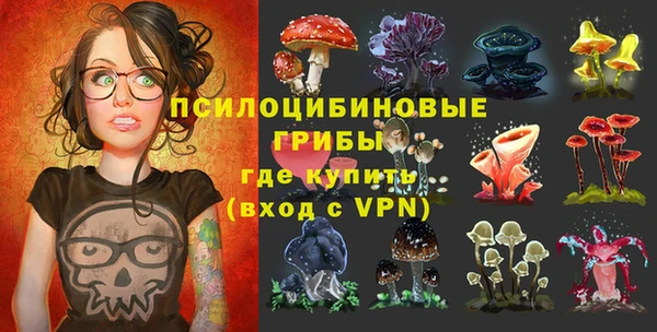 не бодяженный Алексин
