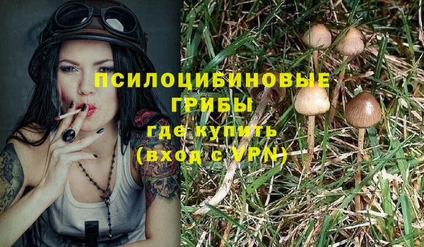 не бодяженный Алексин