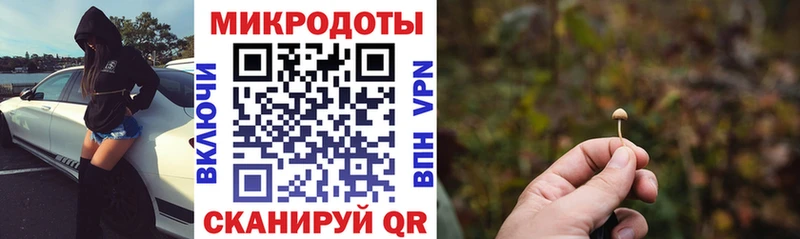 Галлюциногенные грибы GOLDEN TEACHER  магазин  наркотиков  Неман 